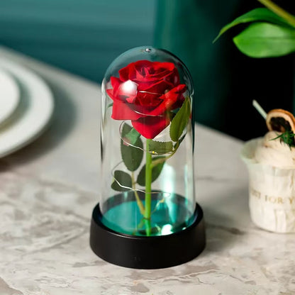  Valentine Day Gift Eternal Rose Flower 