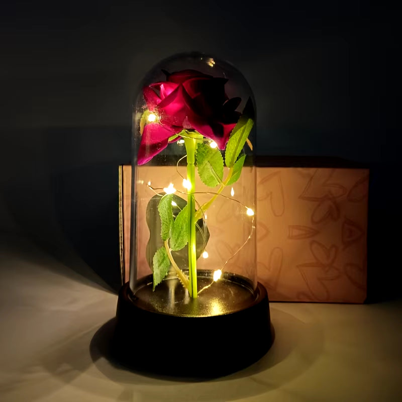  Valentine Day Gift Eternal Rose Flower 